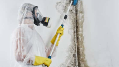 How to Detect and Safely Remove Mold in Your Mississauga Home