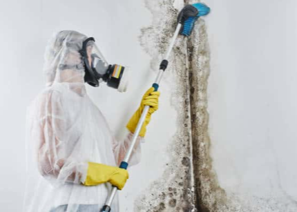 How to Detect and Safely Remove Mold in Your Mississauga Home