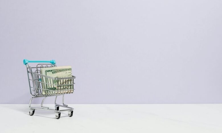 launch profitable e commerce website