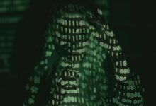 protect your online business