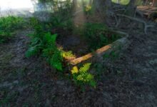 quick instagram growth strategies