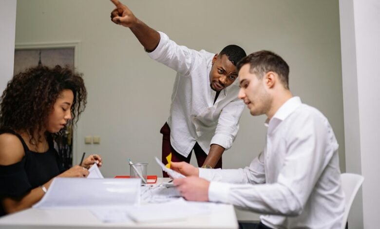 harmonicode team structure overview