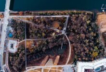 innovation and sector analysis