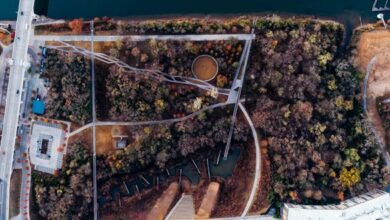 innovation and sector analysis