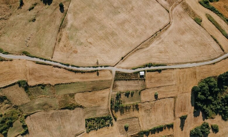 regional performance overview report