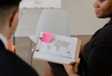 sector development insights overview