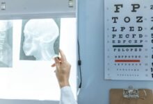 sector dynamics analysis report