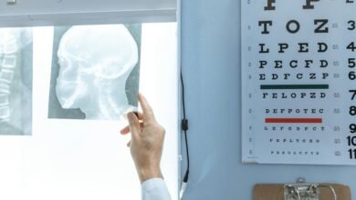 sector dynamics analysis report