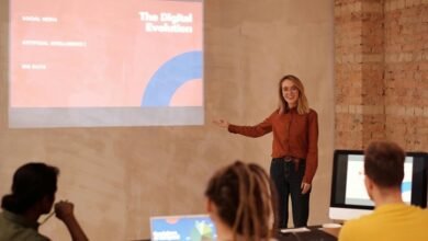 sector evolution analysis report