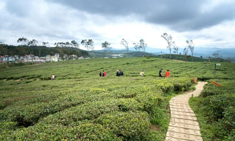 untapped opportunities exploration initiative